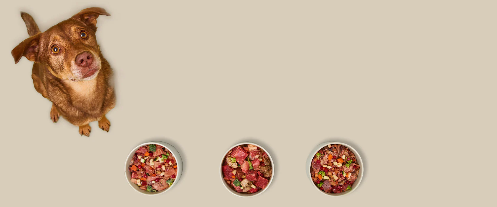 Welcome to Our Store